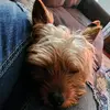Mandi Snow - @mandi.s13 - TikTok