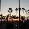 Mandi Thompson - @mandi.thompson1 - TikTok