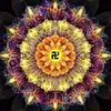 mandinatran - @mandinatran - TikTok