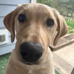 Mandi Walters - @mandiwalters77 - Instagram