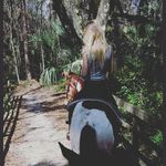 Mandi Weaver - @mandiisnotalion - Instagram
