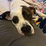 Mandi Williamson - @mandi_dub - Instagram