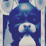 mandiwillis - @mandiwillis7351 - Instagram
