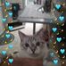Mandi Young - Facebook