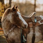 Mandie Johnson - Facebook