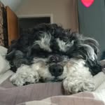 Mandie Taylor - @mandie.taylor.526 - Instagram