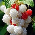 Mandvi Sharma - Facebook