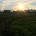Mandy 'Nelson' Acker - @6ackers_on_6acres - Instagram