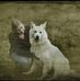 Mandy Ackerman - Facebook