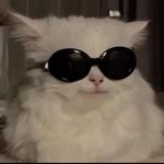 mandyaftel - @mandyaftel - Instagram