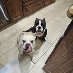 Amanda Akers - @amanda.marie.akers - Instagram