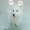 Mandy_Albertson - @Mandy_Albertson - TikTok