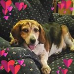 Mandy Albright - @mandy.albright - Instagram