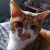 Mandy Alden - @mandy.alden - TikTok