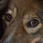Mandy Allison - @endless_eyes_photography - Instagram