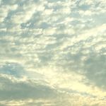 @m.andyallred - Instagram