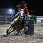 Mandy Amos - @mr_performancehorses - Instagram