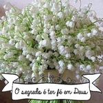 Mandy Andrade - @loja.madamecurie - Instagram