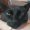 Mandy Andrade - @mandyy394 - TikTok