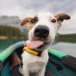 @mand_yandrew - Instagram