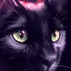 Mandy Andrews169 - @mandyandrews169 - TikTok