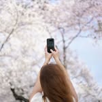 Amanda Archibald | DC Photographer - @fotosynthesis - Instagram