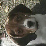 Mandy Ashworth - @zdnam4 - Instagram