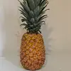 Mandystime - @mandy.avila0 - TikTok
