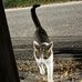 Mandy Bader - Facebook