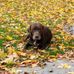 Mandy Bahl - Facebook