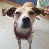 Mandy Bahlo - @mandybahlo10 - TikTok