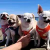mandy baldwin - @mandy.baldwin3 - TikTok