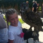 Mandy - @mandy_van_balen - Instagram