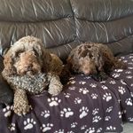 Mandy Barlow - @barlow6291 - Instagram