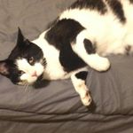 mandy barron - @mandy4333 - Instagram