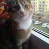 mandybarth53 - @mandybarth53 - TikTok