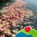 Mandy Rose Batore - Facebook
