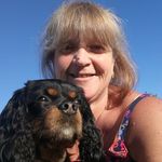 Mandy Bass - @mandy.bass.353 - Instagram