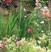 Mandy Batchelor - Facebook