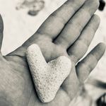 Mandy Bax - @baxmandy - Instagram