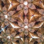 Mandy Baxter - @mandybaxter - Instagram