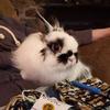 MandyBean77 - @mandybean77 - TikTok