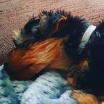 Mandy Beattie - @mandybeattie2 - Instagram