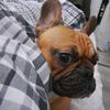 mandy beattie - @mandy.beattie.simp - TikTok