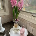 Amanda Beemer - @abeemer106 - Instagram