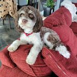 M - @mandy.behrens.swanson - Instagram