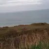 Mandy Benn - @mandybenn - TikTok