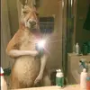 Mandy Bernal - @mandy.kingtf - TikTok