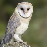 Amanda Berndt - @berndt3425 - Instagram