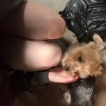 𝗠𝗮𝗻𝗱𝘆 𝗕𝗲𝗿𝘁𝗿𝗮𝗻𝗱 - @_.mbtd - Instagram